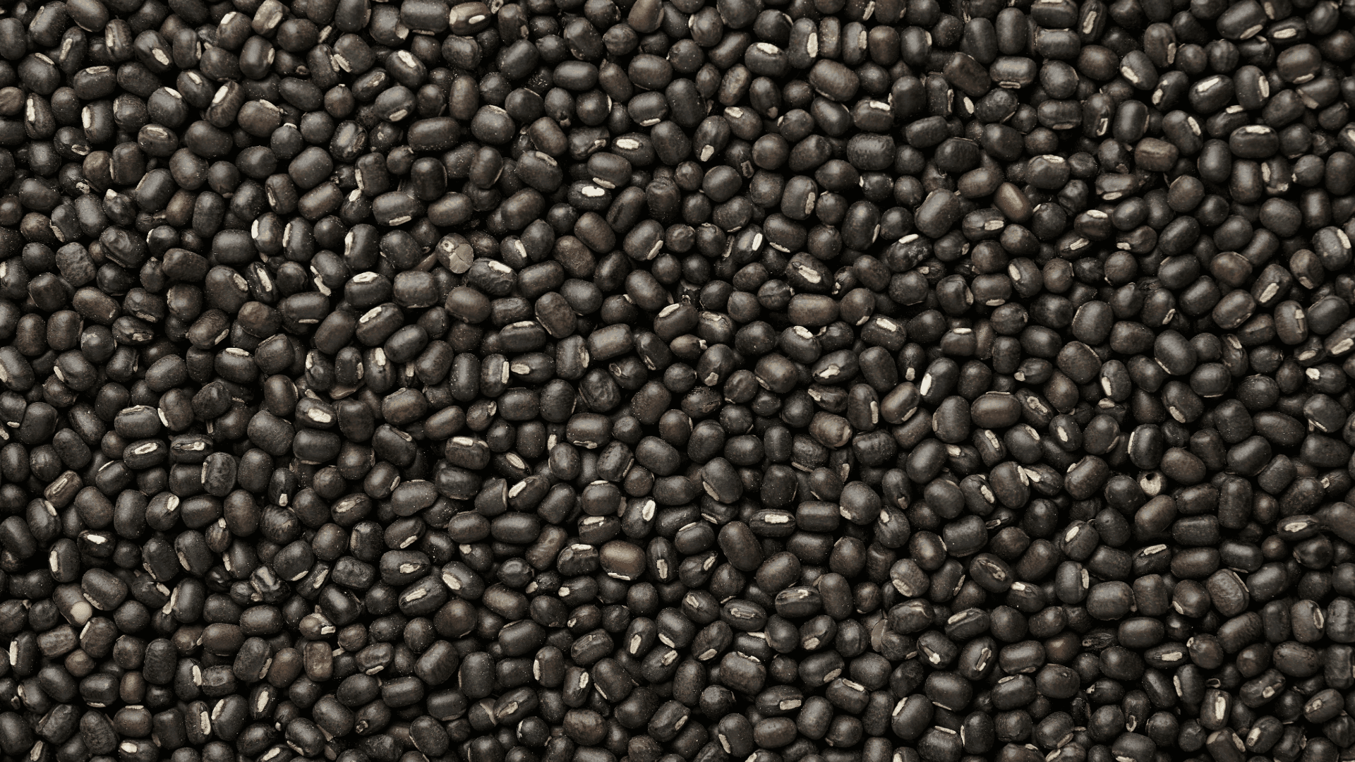 Dry Beans