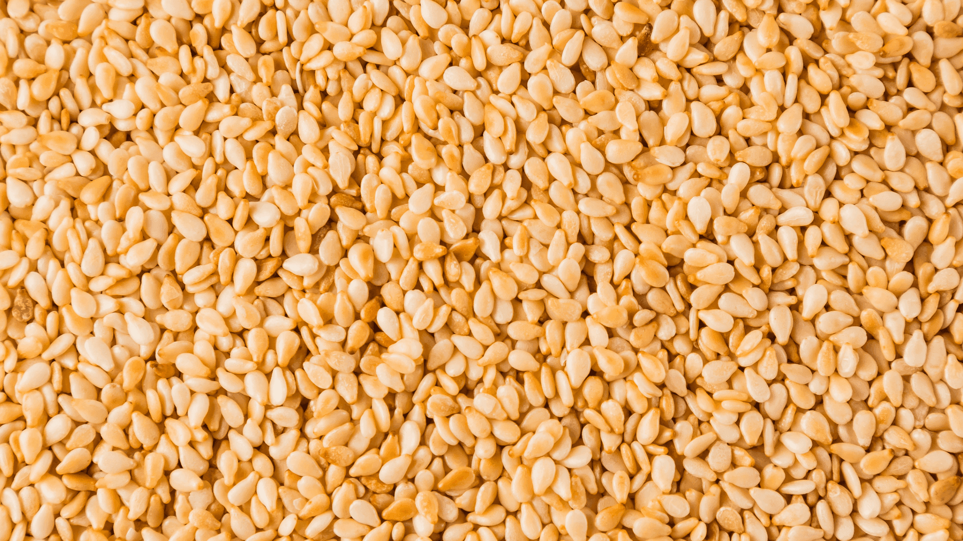 Sesame